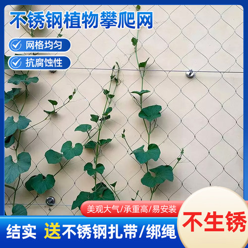不锈钢植物攀援爬藤网