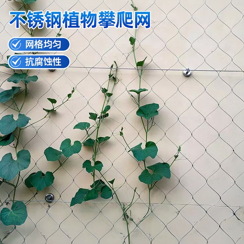 304不锈钢爬藤网花架爬藤架网月季墙微花庭院爬蔷薇葡萄架花架