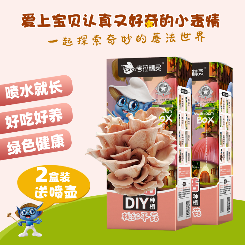 爱因思维DIY手工制作蘑菇