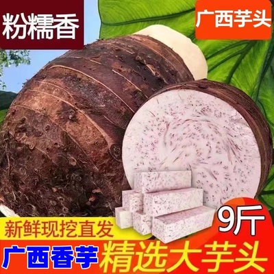 恬小鲜粉糯香甜现挖现发