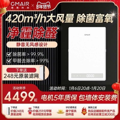 果麦新风机家用壁挂式窗式空气净化全屋换气静音除甲醛系统GM420