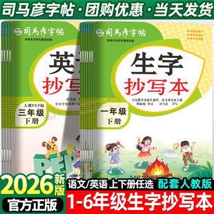 司马彦生字抄写本语文字帖一二三四五六年级下册上册英语人教版部编小学生字词同步练字帖钢笔铅笔硬笔临摹字贴正楷字帖寒假作业书