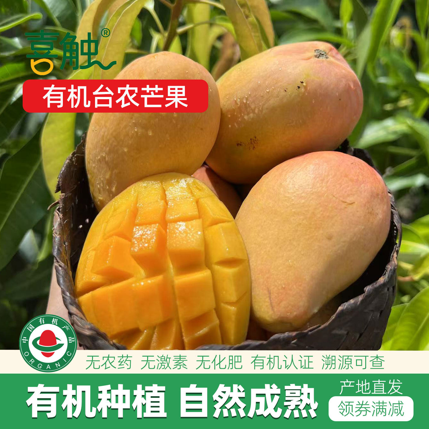 云南高原有机台农芒果应季孕妇儿童新鲜水果无农药无化肥自然成熟