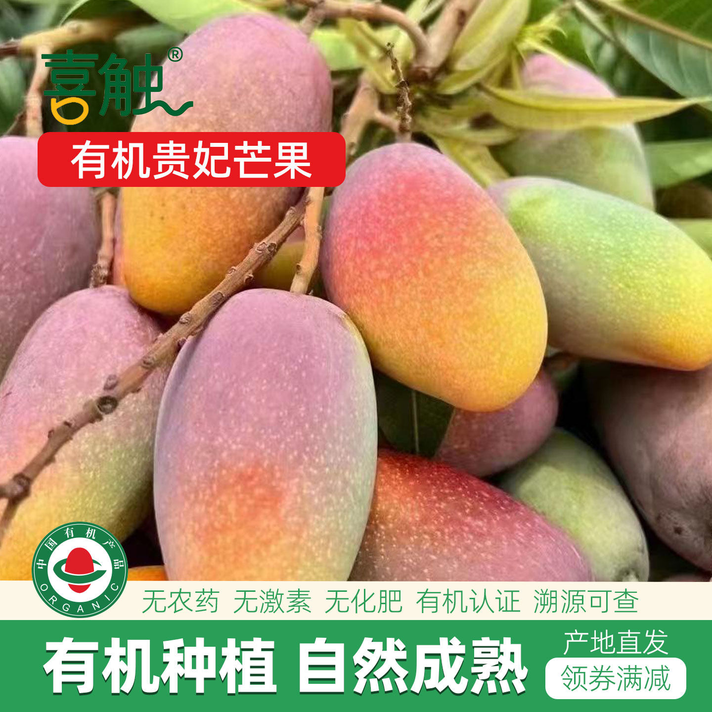 云南有机贵妃芒果孕妇儿童新鲜水果无农药自然成熟热带应季水果