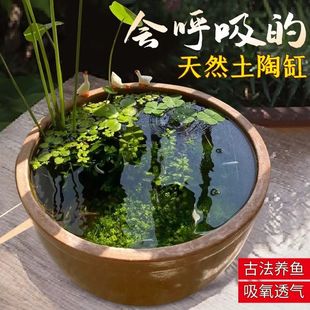古法鱼缸陶瓷龟缸大水缸造景庭院花盆阳台养鱼池陶缸微景观生态缸
