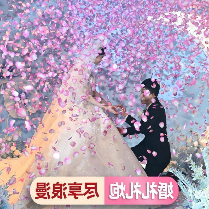 【6000网红花瓣雨】生日大全结婚礼花花瓣雨网红教室婚礼礼炮