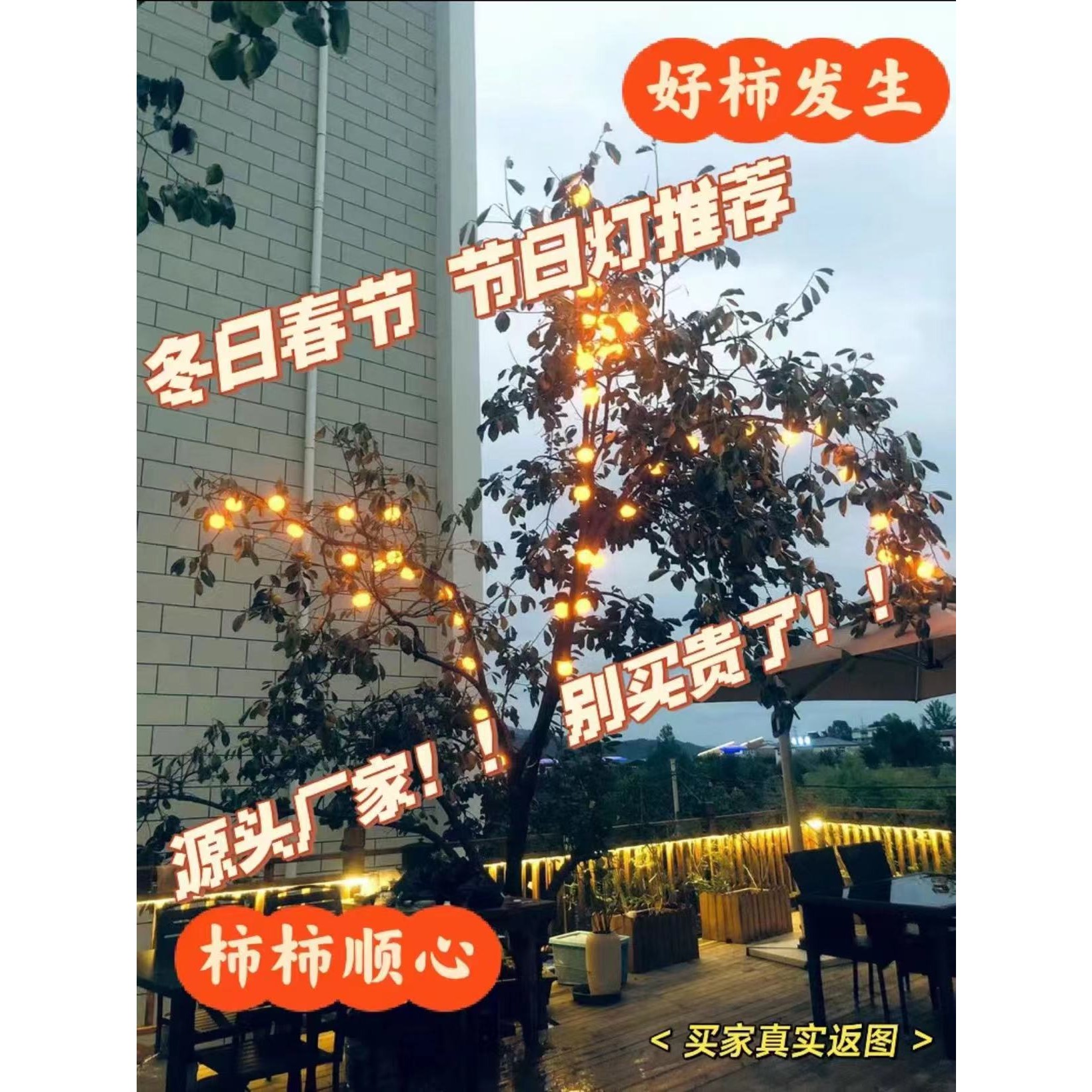 树上挂的彩灯网红爆款灯串插电农村院子户外防水室外氛围灯节日小