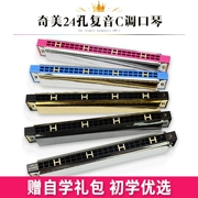 Chimei Harmonica Người mới bắt đầu Người lớn Học sinh Đa âm 24 lỗ C-Giới thiệu Đàn ông và phụ nữ chơi nhạc cụ piano có giai điệu - Nhạc cụ phương Tây