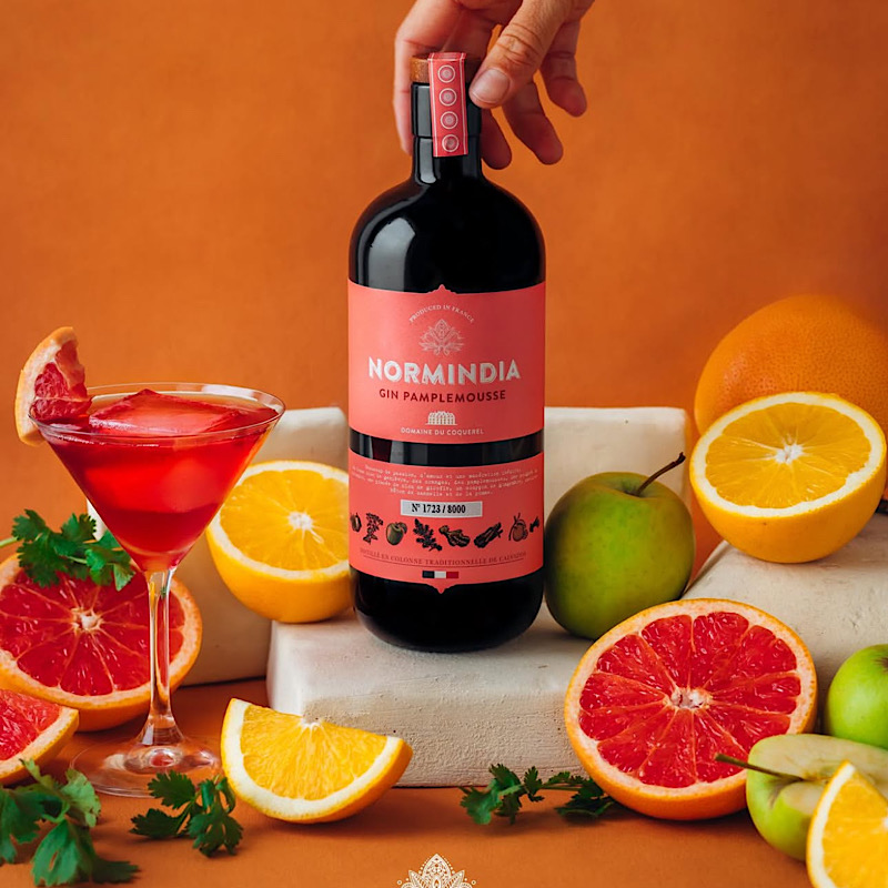 法国NORMINDIAGIN诺印西柚金酒