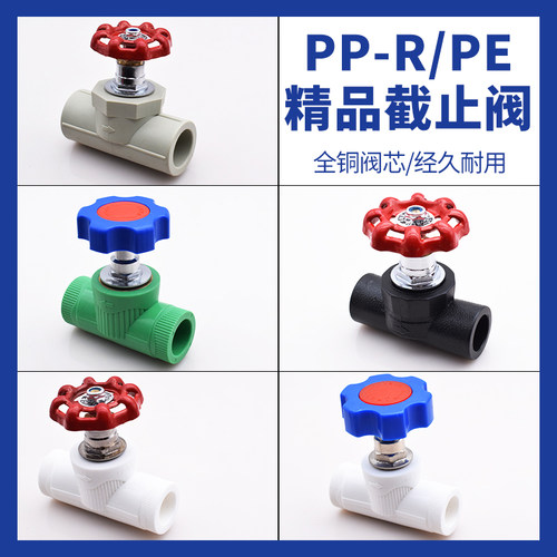 PPR截止阀PPR升降式截止阀PE阀门20 4分6分1寸 ppr水管管件配件厚