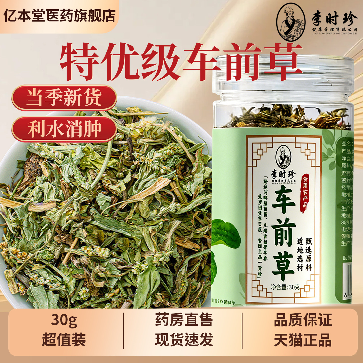 李时珍正宗车前草野生中药
