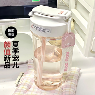 zippo水杯女生夏天高颜值带吸管杯大容量便携新款2024塑料杯子男