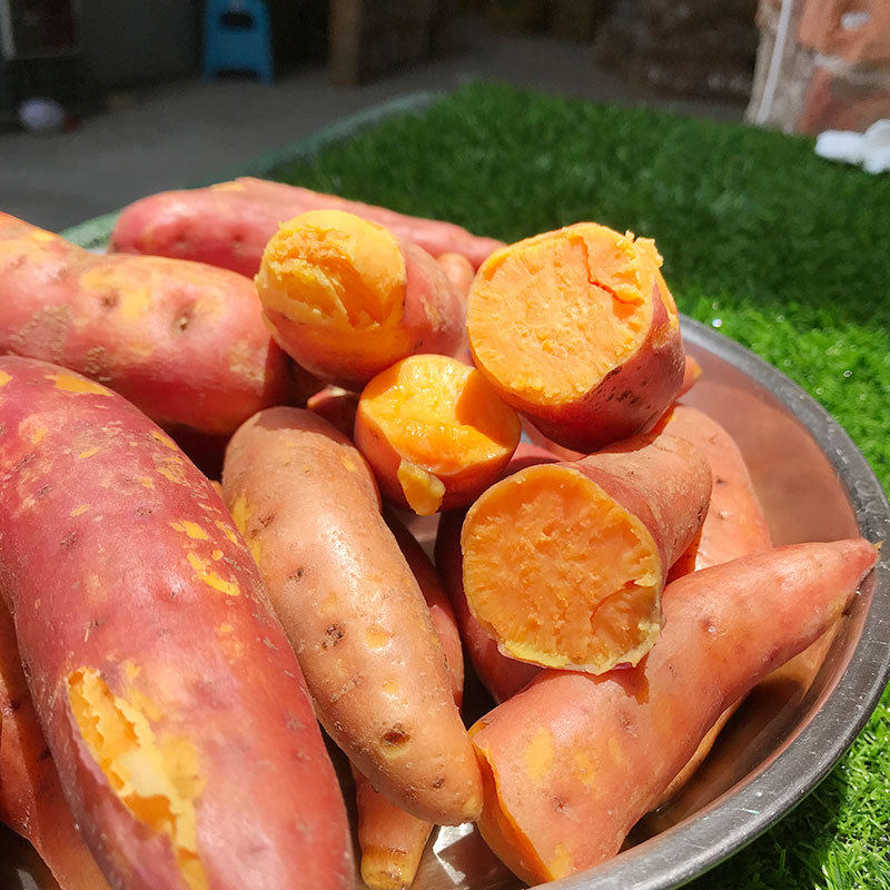广西巴马香薯蜜薯新鲜挖红薯西瓜红香薯农家自种新鲜包邮