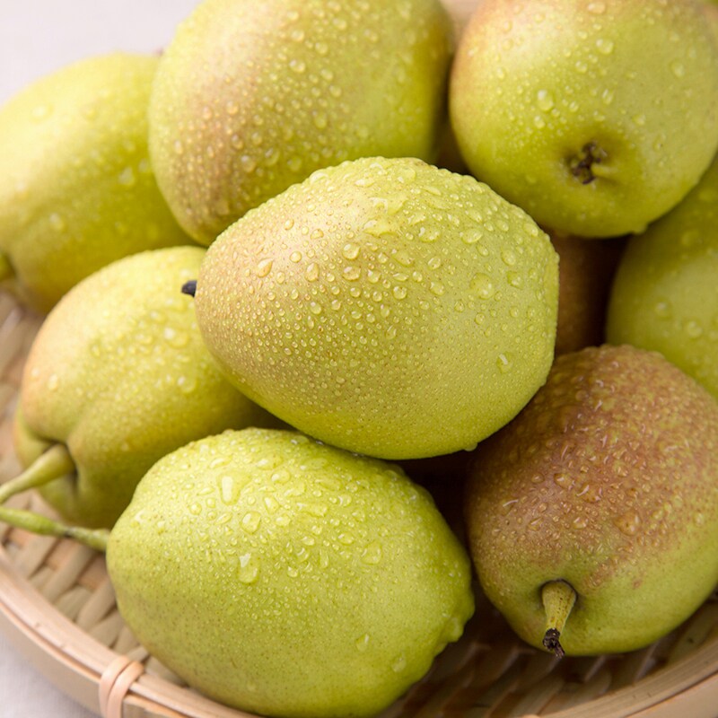 新疆库尔勒香梨公母梨清甜梨子新鲜水果净重10斤装