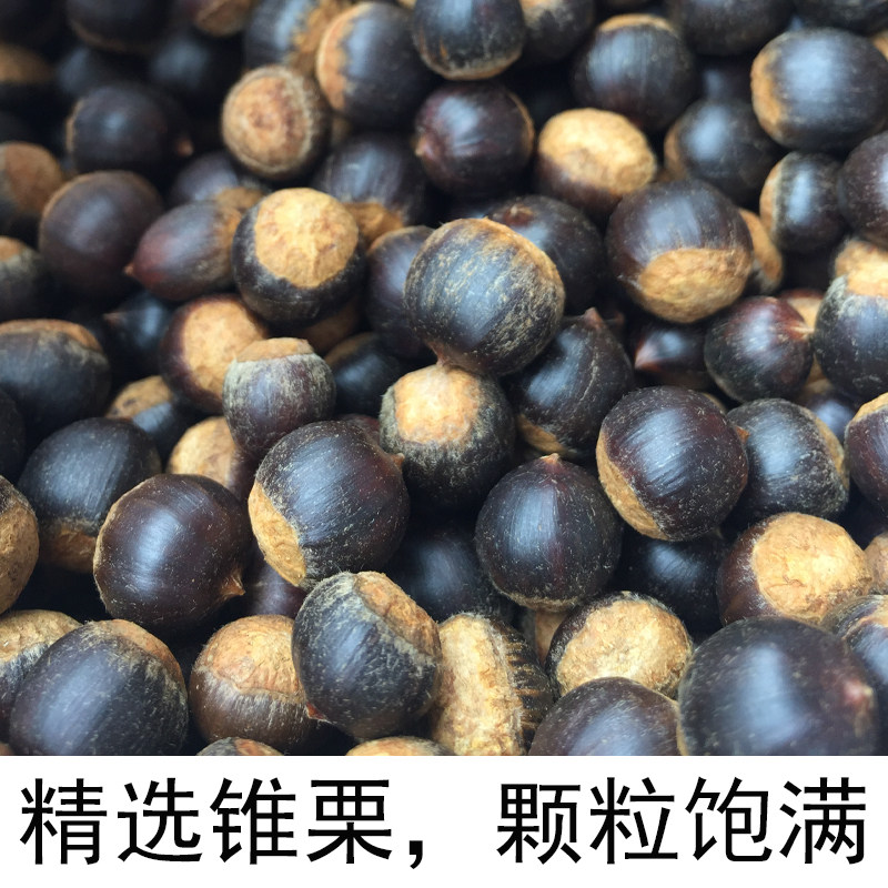新鲜建瓯锥栗黄心锥栗现摘栗子圆形板栗香糯甜油锥小在类目 水产肉类/新鲜蔬果/熟食, 新鲜蔬菜/蔬菜制品, 新鲜蔬菜, 新鲜板栗中 - 来自Buy2taobao.com提供专业的淘宝代购服务