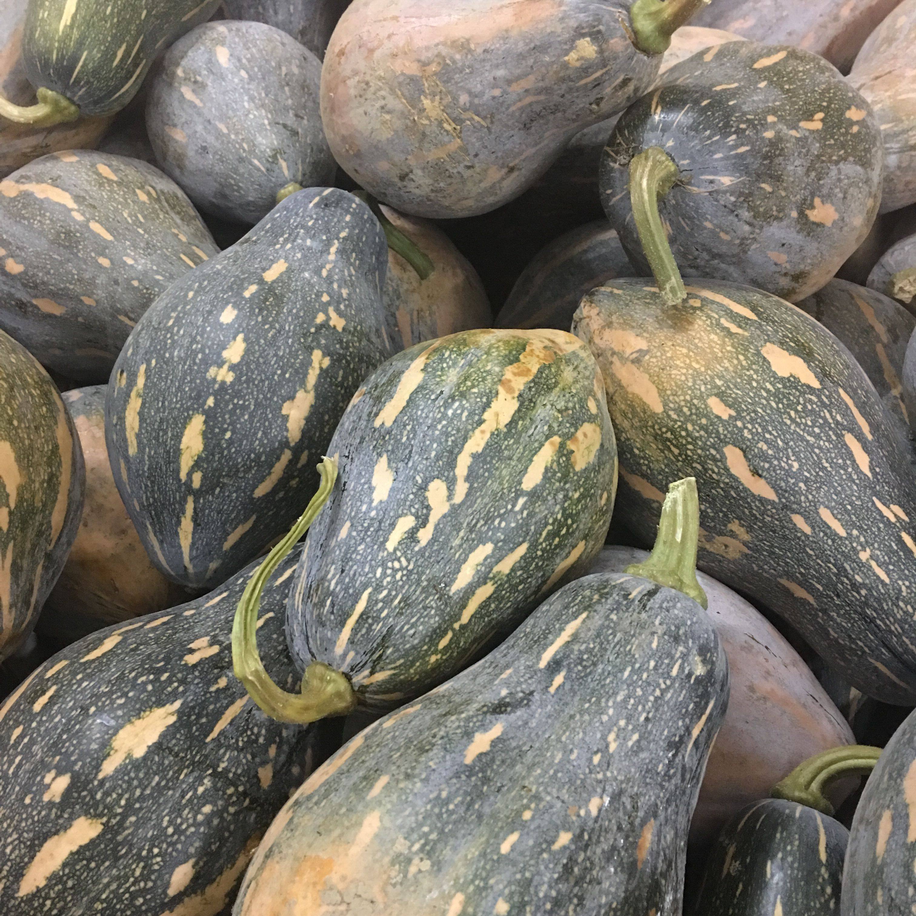 广东清远农家香芋南瓜3斤包邮农家自种蔬菜天然营养菜