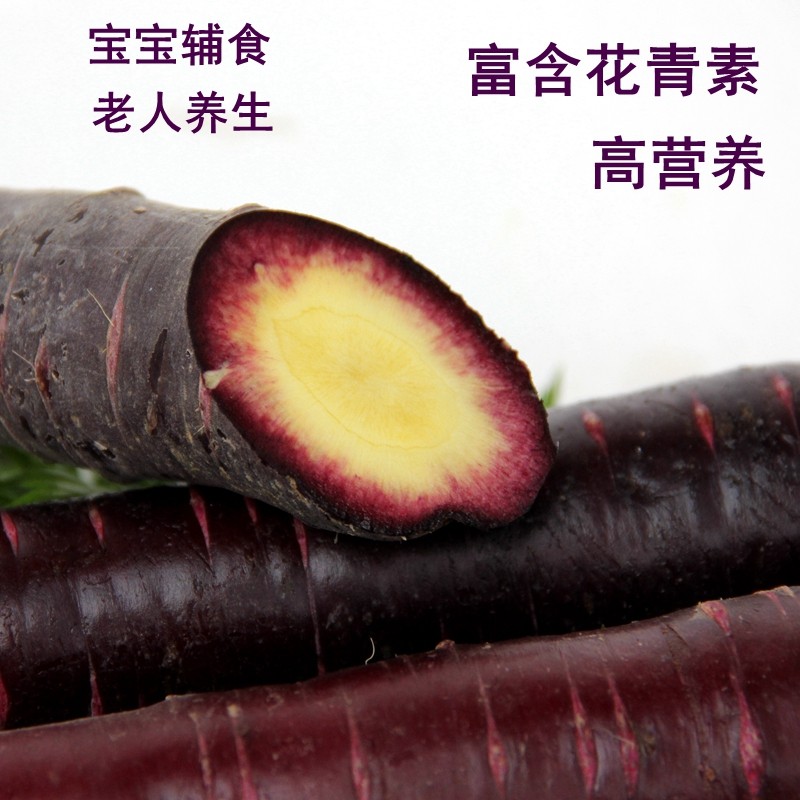 山东产云南老品种紫胡萝卜水果紫萝卜现挖新鲜蔬菜4斤装