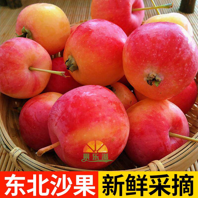 东北沙果秋红果新鲜海棠果当季水果产地直发孕妇水果小苹果