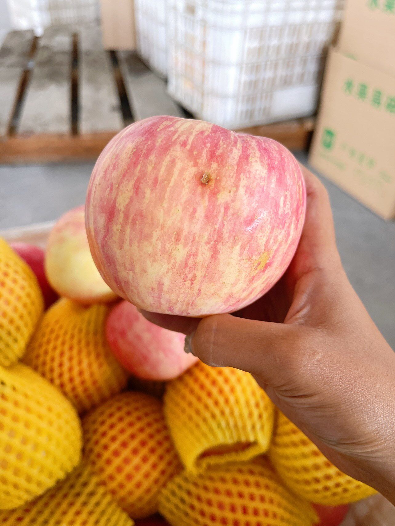 捡漏微瑕疵红富士苹果新鲜水果脆甜产地直发