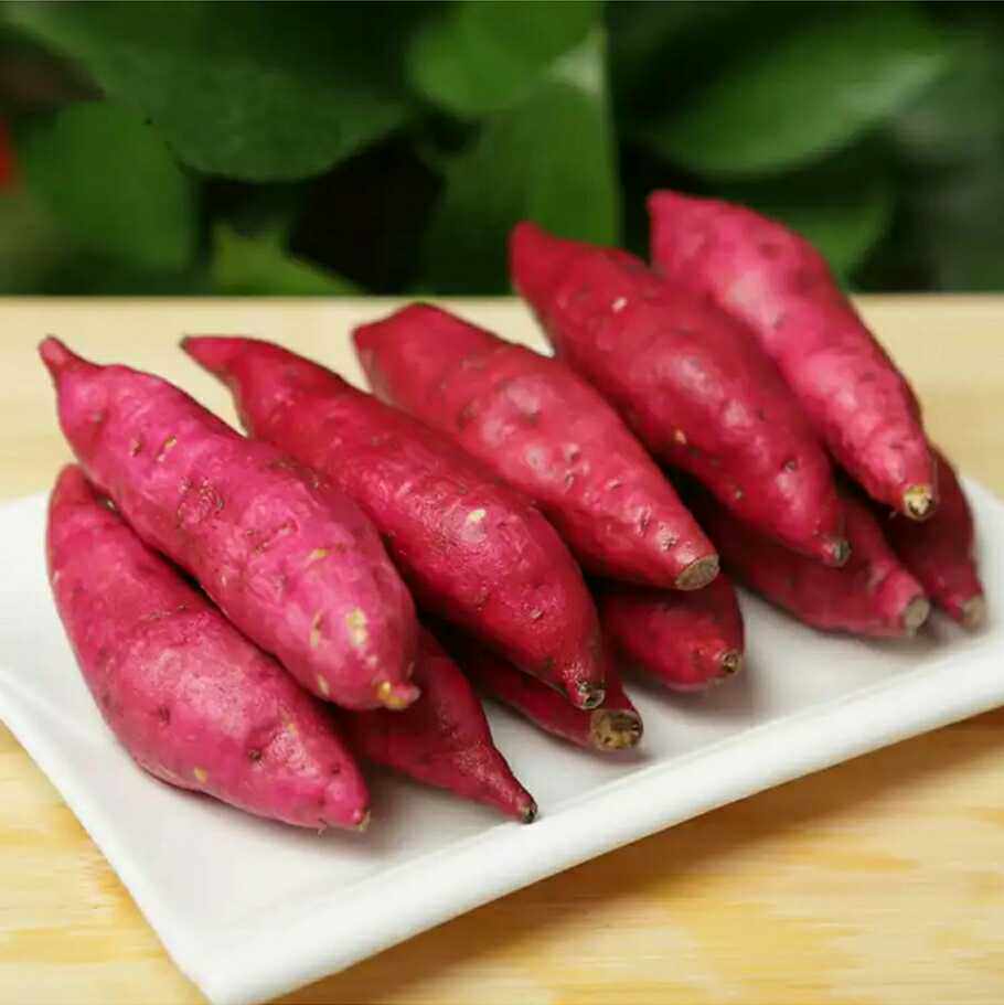 福建 六鳌农家自种 迷你地瓜 带箱5斤宝宝辅食