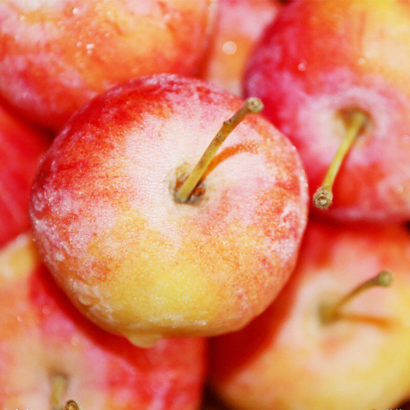 海棠果沙果东北新鲜孕妇水果现摘现发糖心小海棠果5斤包邮