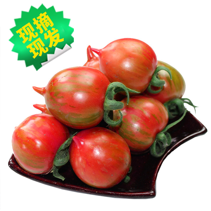 东北皮球柿子农家小园柿子花皮球柿子小番茄一份4斤包邮破损包赔
