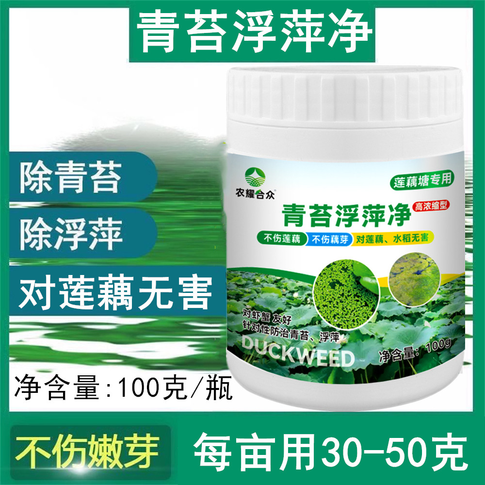 藕田浮萍青苔净除苔灵莲藕专用