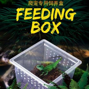 蚕卵饲养盒养蚕盒蚕宝宝饲养箱孵化盒亚力克养殖盒子养蚕专用工具