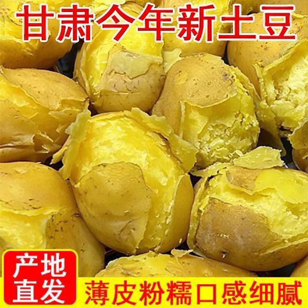 定西土豆甘肃沙面蔬菜马铃薯洋芋搅团黄皮黄心新鲜整箱批发包邮