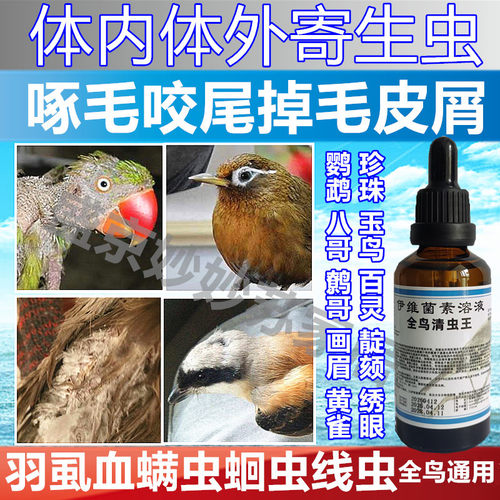 全鸟清虫王画眉鸟用驱虫药虎皮玄凤鹦鹉体内体外驱虫药洗澡喷雾剂