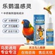 鹦鹉炸毛水绿便屁股粘便打瞌睡虎皮牡丹玄凤调理常备药鸟类专用药