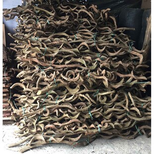 过江龙藤干树枝客厅餐厅样板间软装饰橱窗烘干灵芝藤条插花干支条