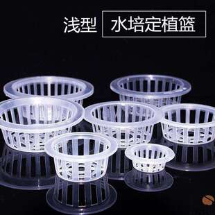 水培网篮花盆定植植物玻璃花瓶绿萝定植无土栽花卉浅型固根器