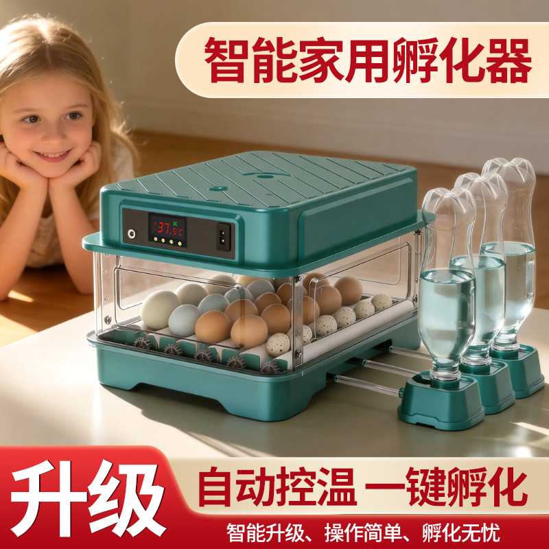 孵化器小鸡孵蛋器全自动智能孵化机16枚24枚小型孵化箱48枚照蛋器