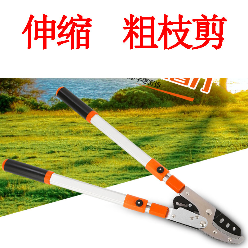 粗枝剪修枝剪大力剪刀高枝剪工具园艺大剪刀树枝剪高空剪强力果树