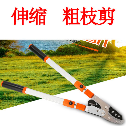 粗枝剪修枝剪大力剪刀高枝剪工具园艺大剪刀树枝剪高空剪强力果树