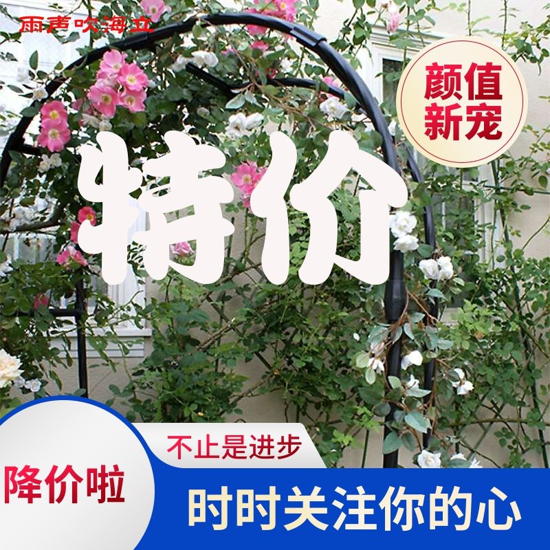 网友分享在meiguo.com的图片