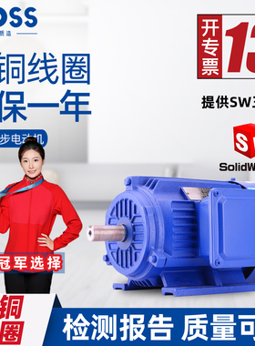 江苏普斯YE3三相异步电动机380V马达交流铜芯微型电机全新卧式B3