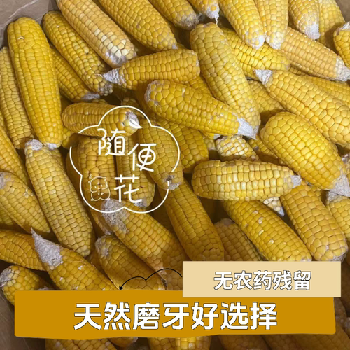 随便磨牙玉米迷你晒干仓鼠天然