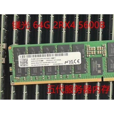 64G 2RX4 PC5 -5600B RDIMM服务器内存 DDR5 5600 ECC REG
