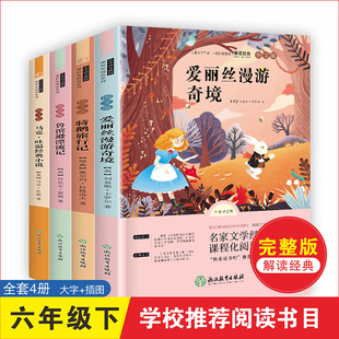 全套4册 鲁滨逊漂流记原著完整版 六年级下册课外书必读的正版快乐读书吧推荐阅读汤姆索亚历险记爱丽丝漫游奇境骑鹅旅行记鲁滨孙w