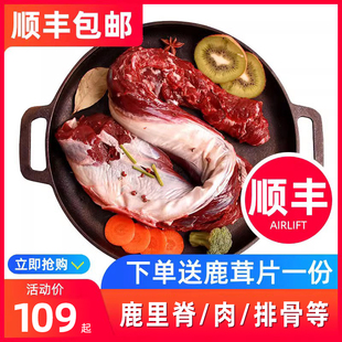 梅花鹿肉新鲜鹿肉新鲜鹿肉现杀新鲜鹿肉即食鹿排骨肉类新鲜生肉