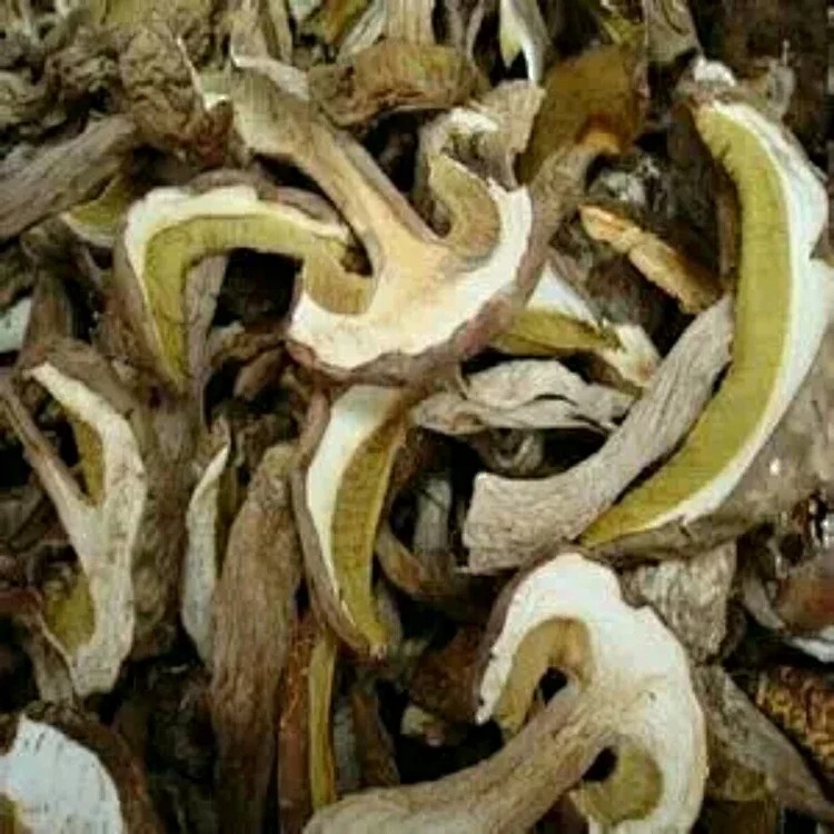 彭水特产  野生大脚菌  晒干的煮汤炒食搭档一份半斤 包邮