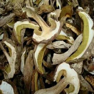 炖汤味道鲜美 彭水特产 晒干 品质正宗 炒食也香 野生大脚菌