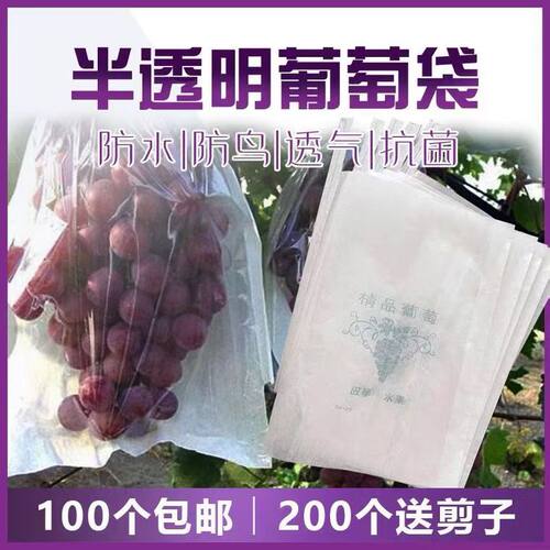 包桃子纸袋半透明葡萄套
