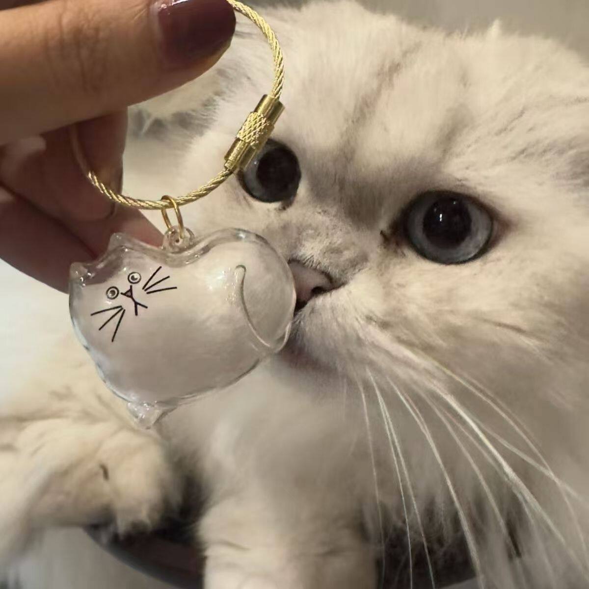 猫毛收纳挂件钥匙扣宠物