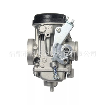 化油器适用于 YBR125 YAMAHA TW200 2001-2017 200 TRAILWAY CARB