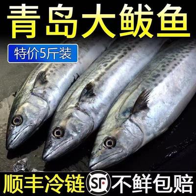 五斤青岛鲅鱼六条新鲜速冻特大号海捕马鲛鱼燕鲅鱼鲅鱼饺子馅顺丰