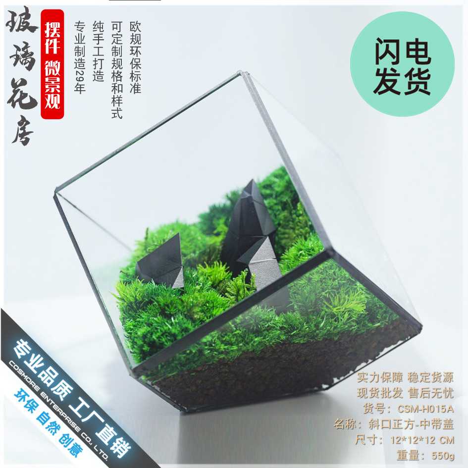 斜口正方中带盖 多肉植物苔藓微景观大玻璃永生小花房盒