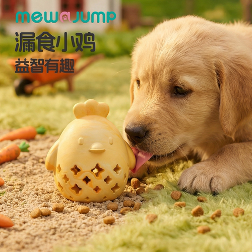 狗狗玩具益智藏食漏食啃咬玩具